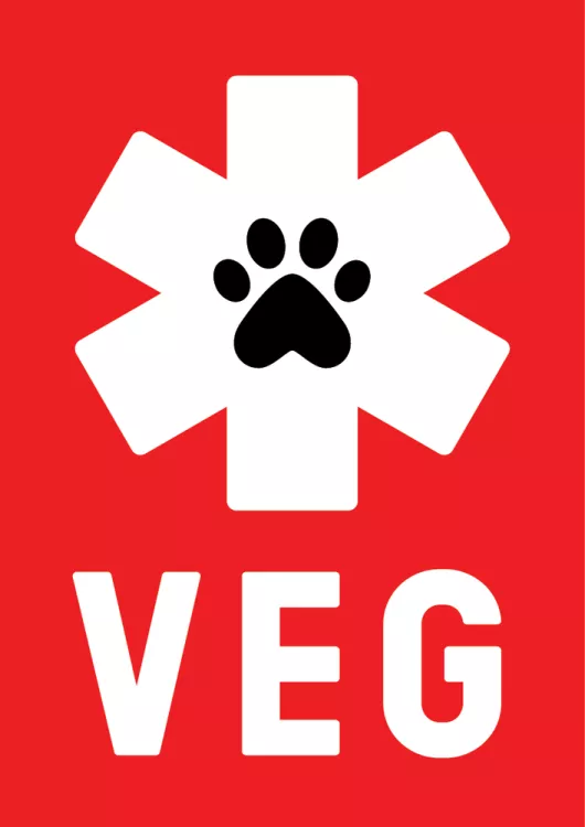 Veterinary Emergency Group, Florida, Tampa
